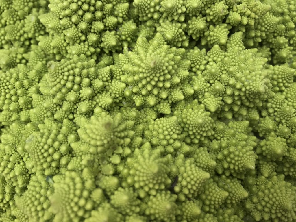 Further Maths Fibonacci