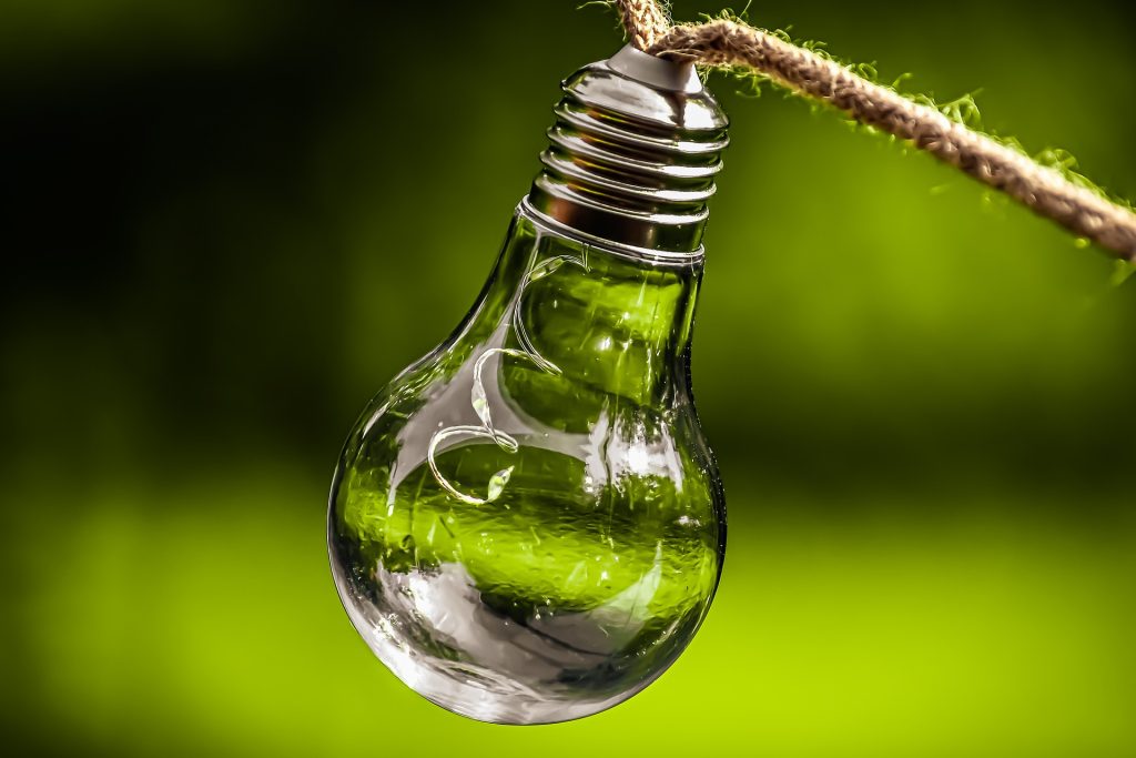outdoor bulb on green background