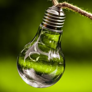 outdoor bulb on green background
