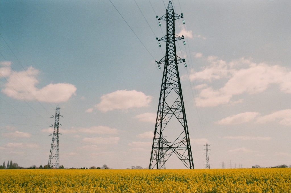 Electricity pylons in a field of yellow flowers