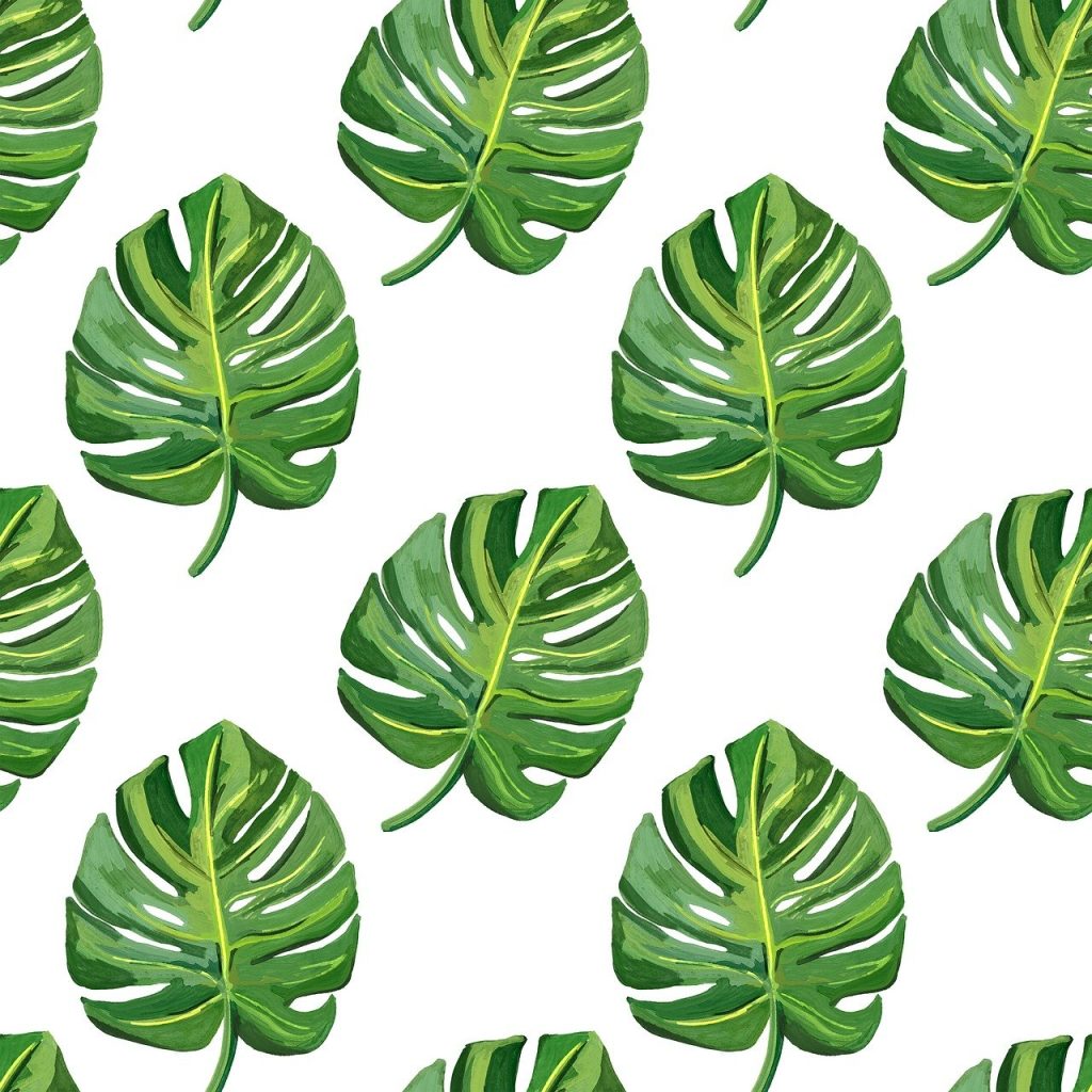 printed images of Monstera leaf