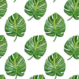 printed images of Monstera leaf